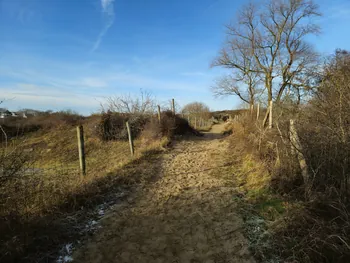 Oostnieuwkerke duinen wandeling in de koude (België)